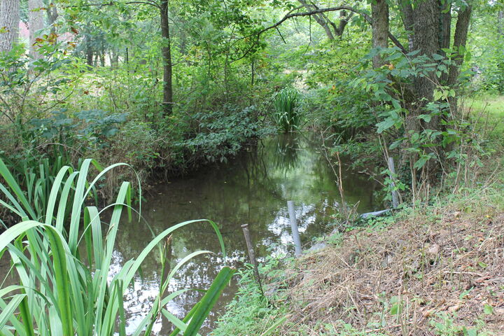 Property Photo:  1721 Matney Hollow Road  MO 65746 