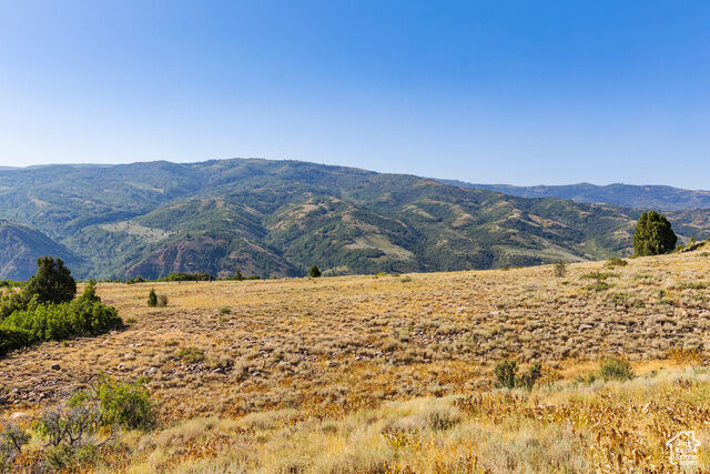 Property Photo:  13213 E Oak Canyon Rd 459  UT 84317 