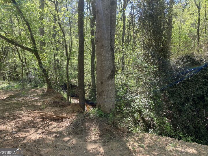 Property Photo:  90 +/- Acres English Road  GA 31029 