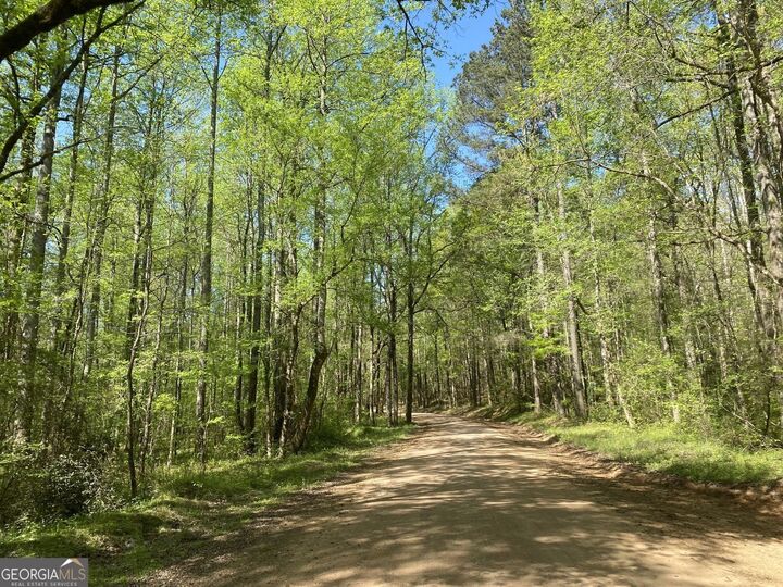 Property Photo:  90 +/- Acres English Road  GA 31029 