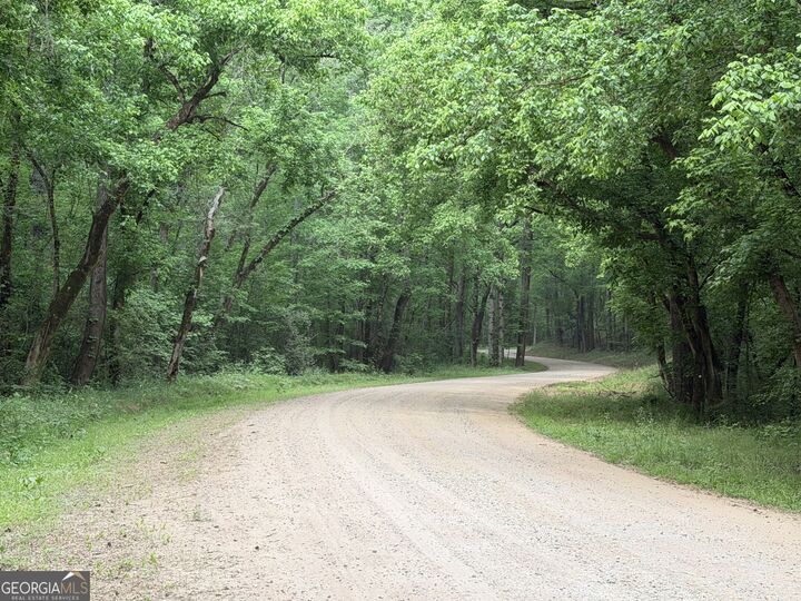 Property Photo:  90 +/- Acres English Road  GA 31029 