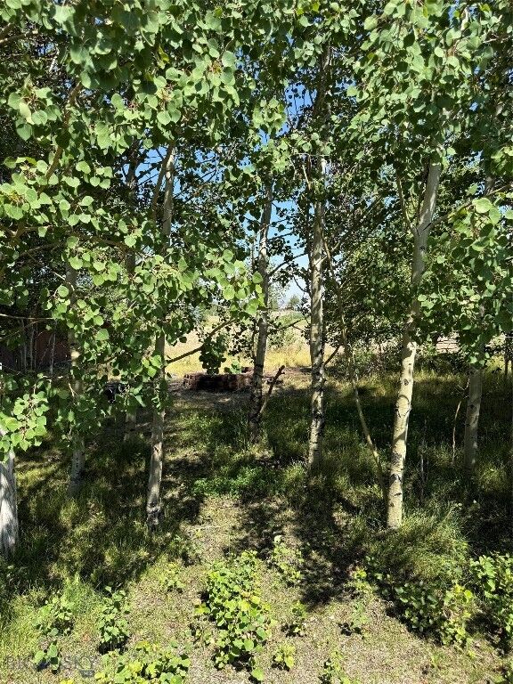 Property Photo:  2600 Blacktail Loop  MT 59701 