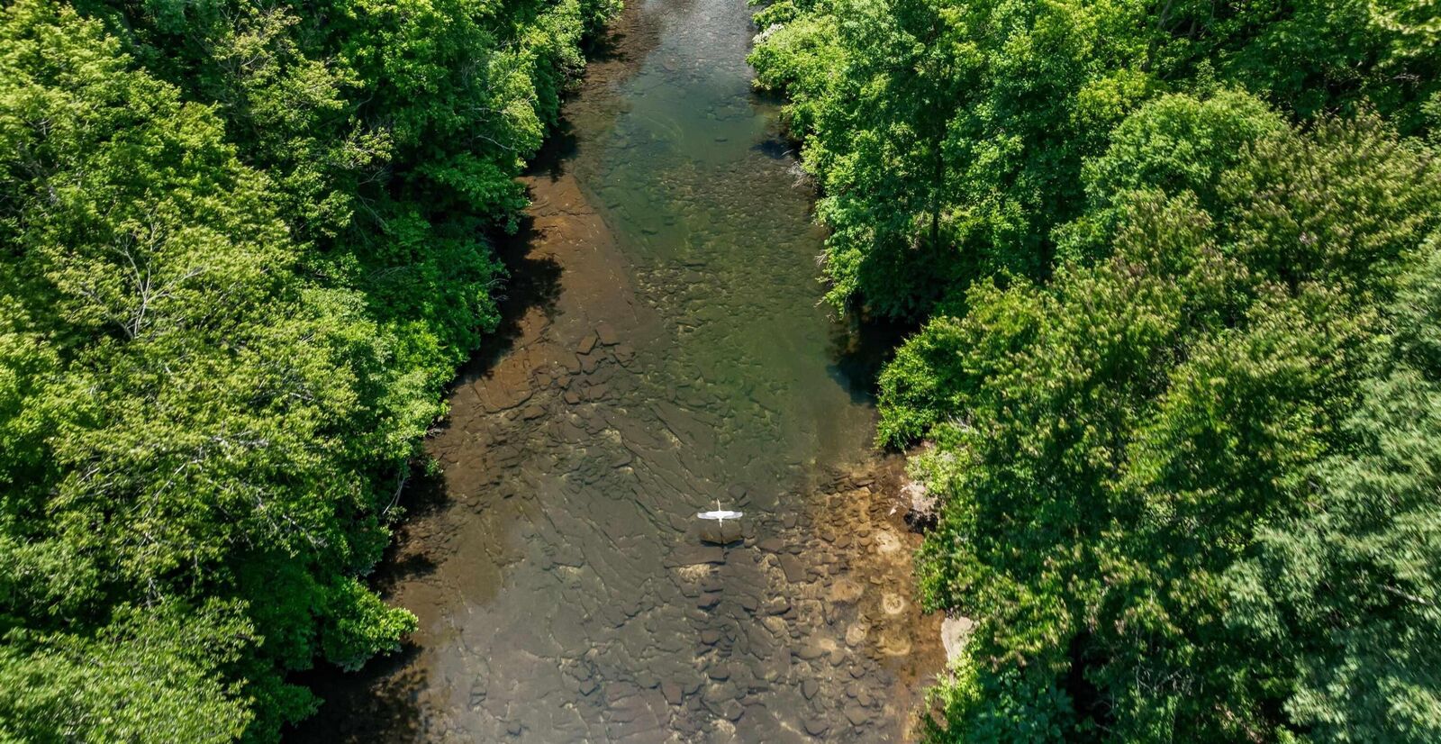 Property Photo: 23.5 Ac County Road 633 AL 35984