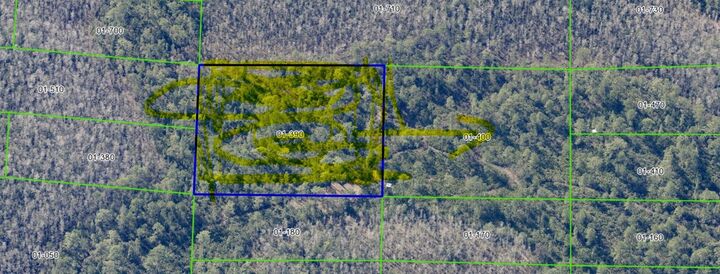 Property Photo: Dill Road FL 32820