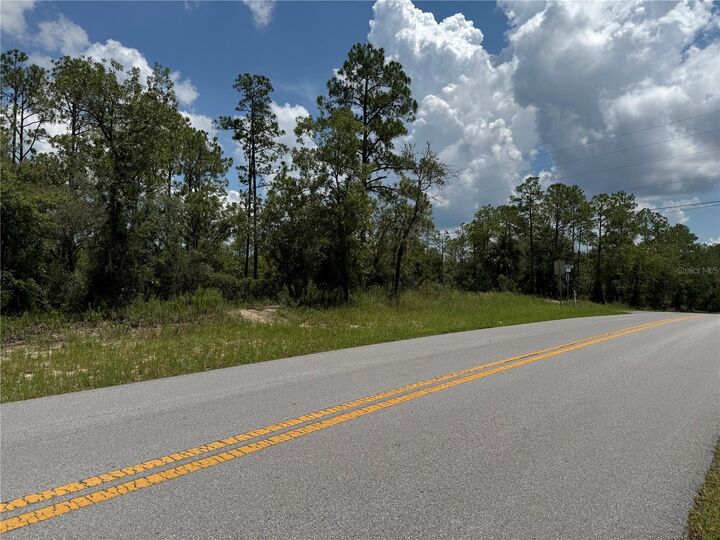 Property Photo: 00 SW Rainbow Lakes Boulevard FL 34431