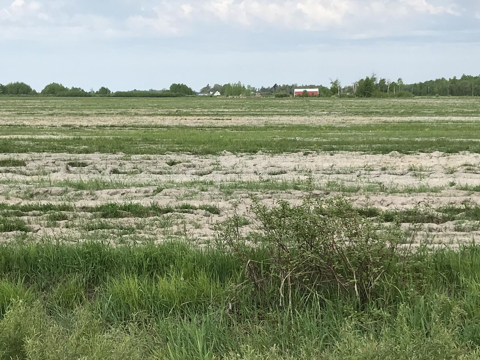 Property Photo:  Parcel A Shunk Road  MI 49783 