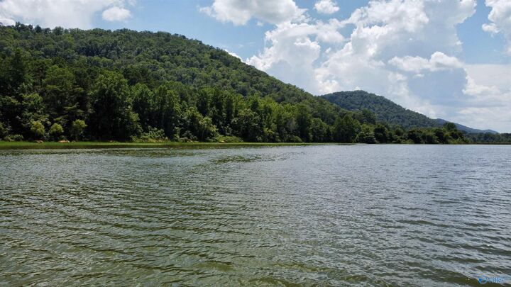 Property Photo:  148 Acres County Road 21  AL 35953 
