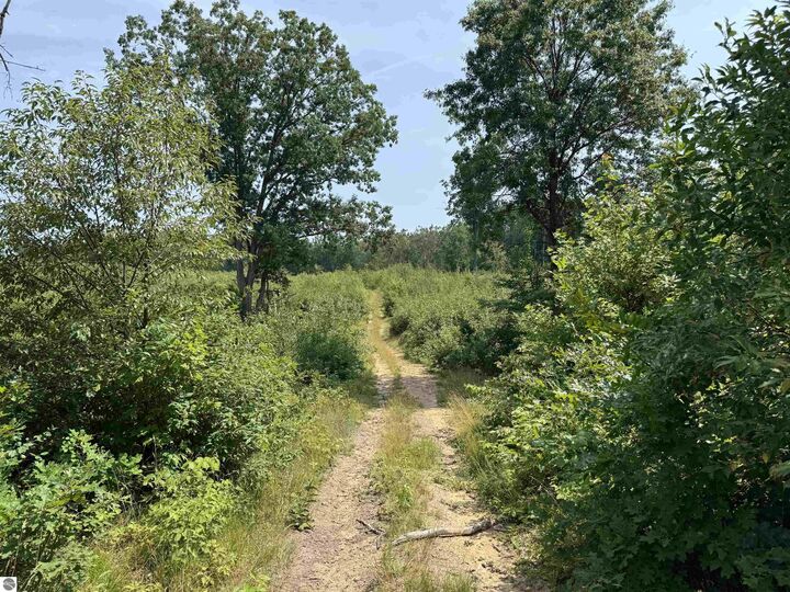 Property Photo:  Tbd Meredith Grade  MI 48625 
