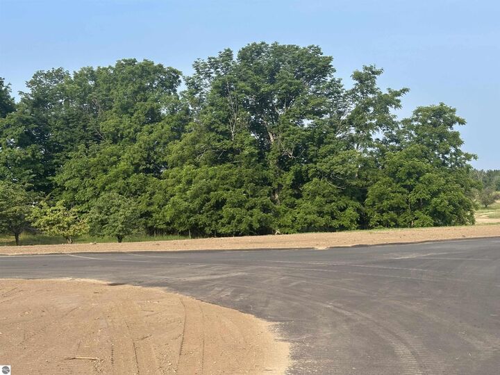 Property Photo:  Parcel 5 Karnes Road  MI 49636 
