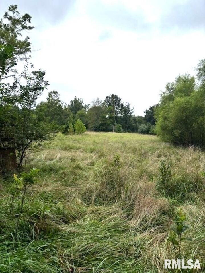 Property Photo: Tbd N Old Union Road IL 62864