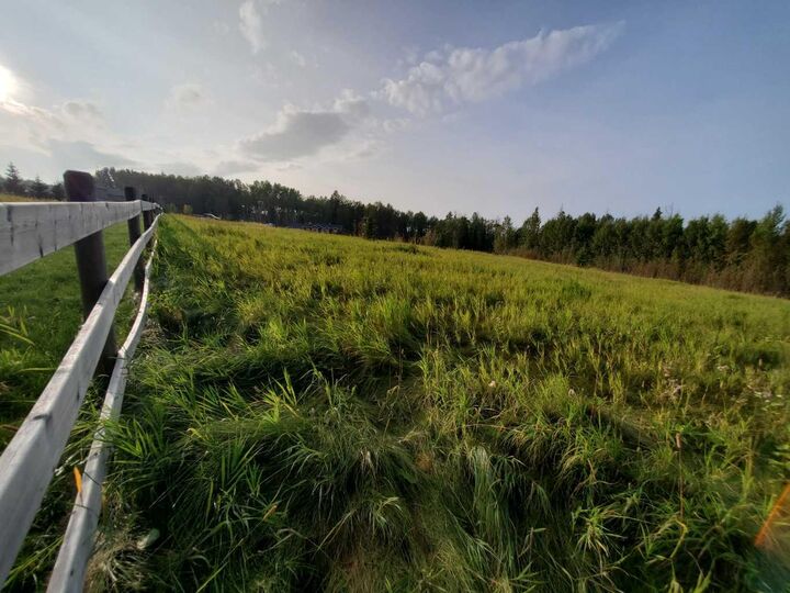 Property Photo:  53018 Range Road 175 2  AB T7E 3E8 