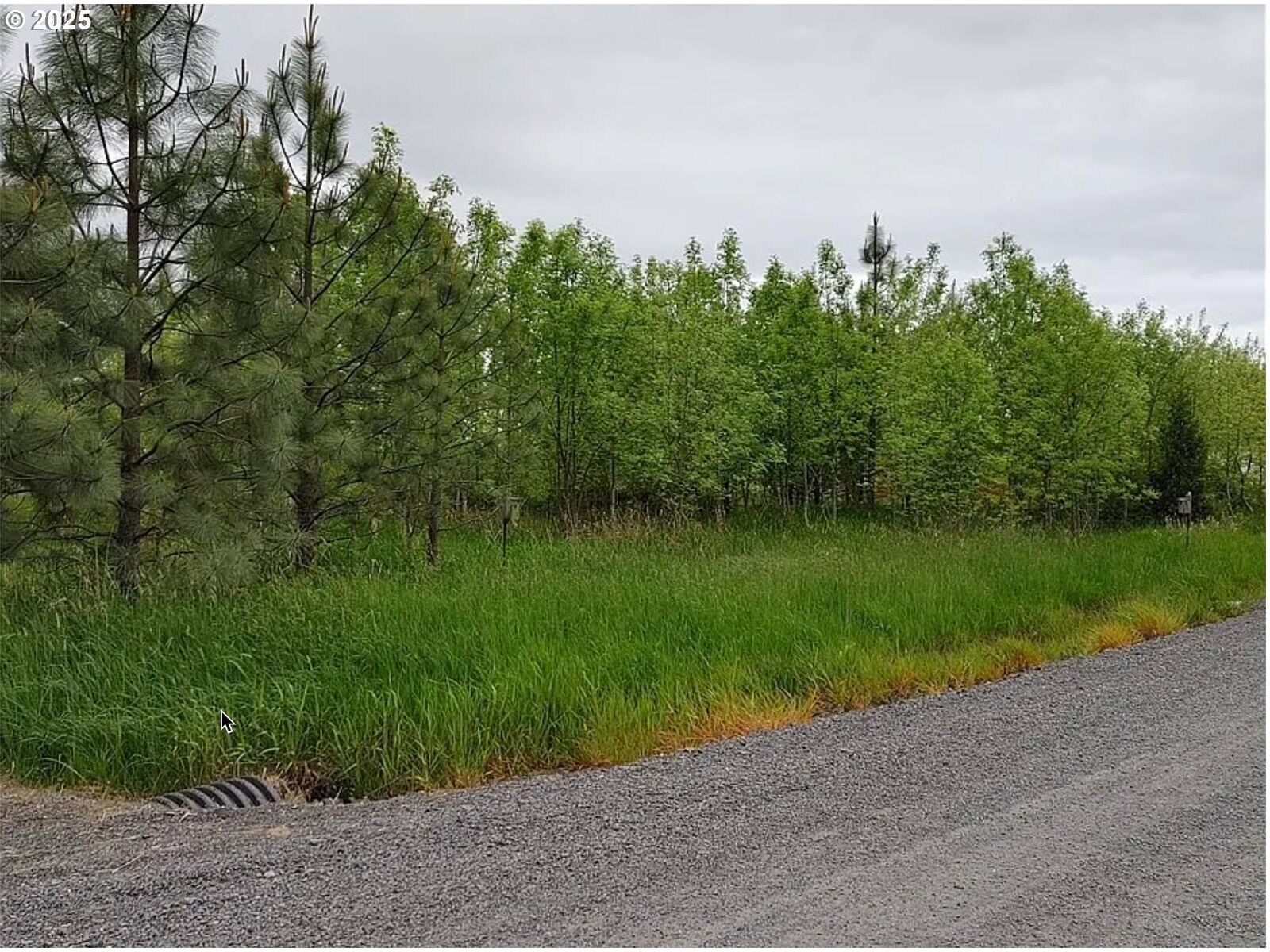 Property Photo:  0 Nicholson Rd  WA 98591 