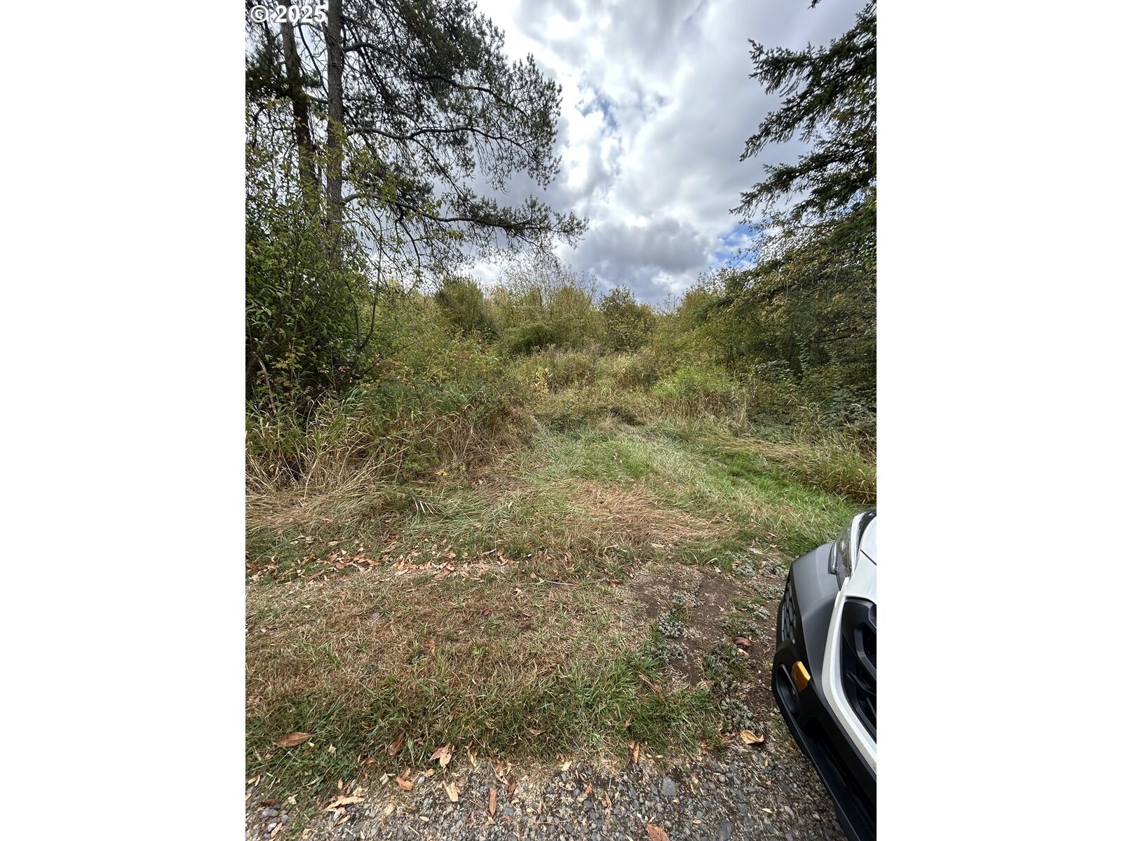 Property Photo: 0 Nicholson Rd WA 98591
