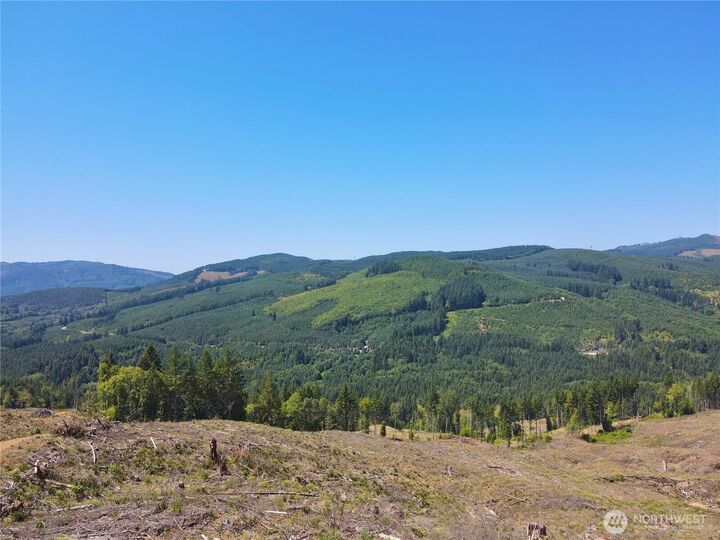 3725  Little Kalama River Road 6  Woodland WA 98584 photo