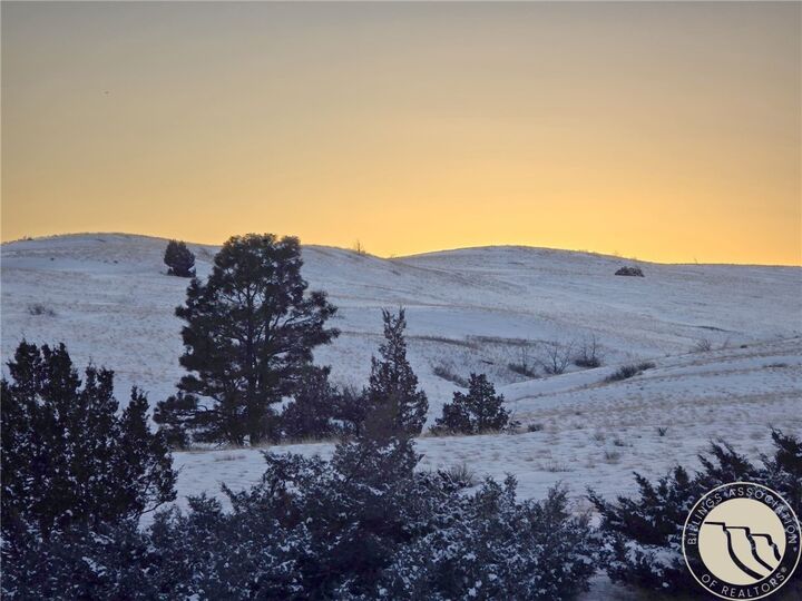 Property Photo:  251 Hump Creek Lot 4 Road  MT 59069 