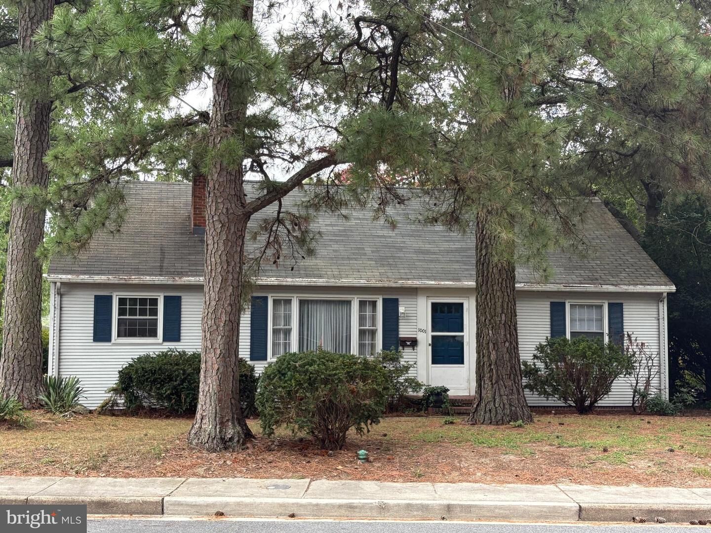 Property Photo: 1001 Riverside Drive MD 21801