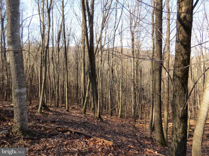 Property Photo:  14A Cedarwood Drive Road  WV 26812 