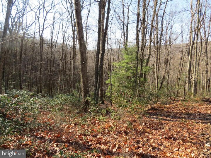 Property Photo: 12 Cedarwood Drive Road WV 26812