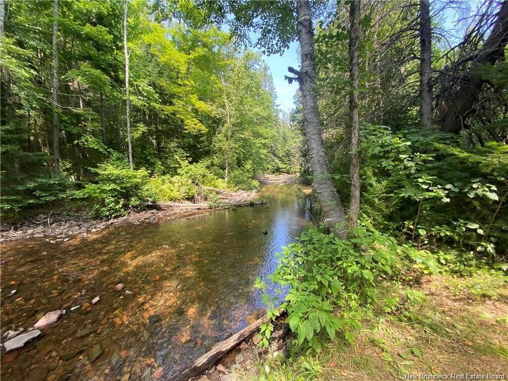 Property Photo:  Land Archibald Road  NB E8G 1W5 