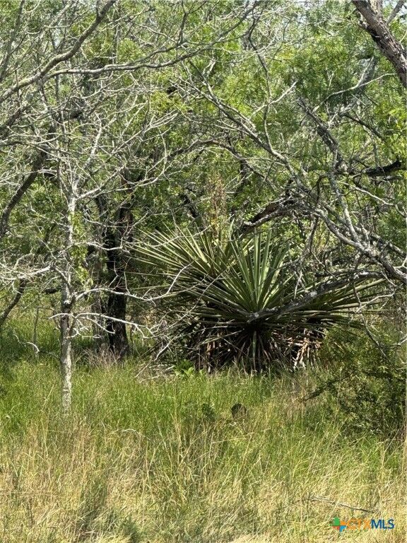 Property Photo:  5986 Fm 1107 B  TX 78160 