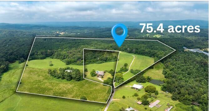 Property Photo: 434 Farm Road GA 30753