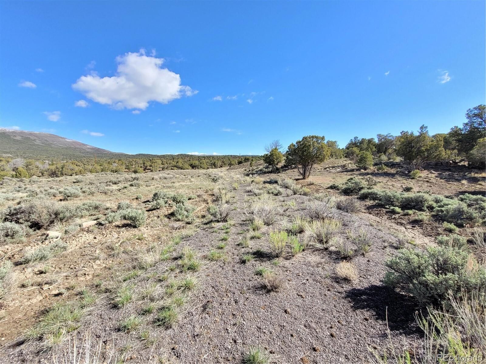 Property Photo:  650 Pinon Crest Way  CO 80463 