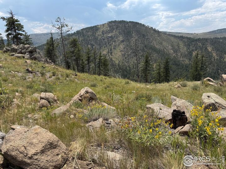 Property Photo: 865 Redstone Dr CO 80512