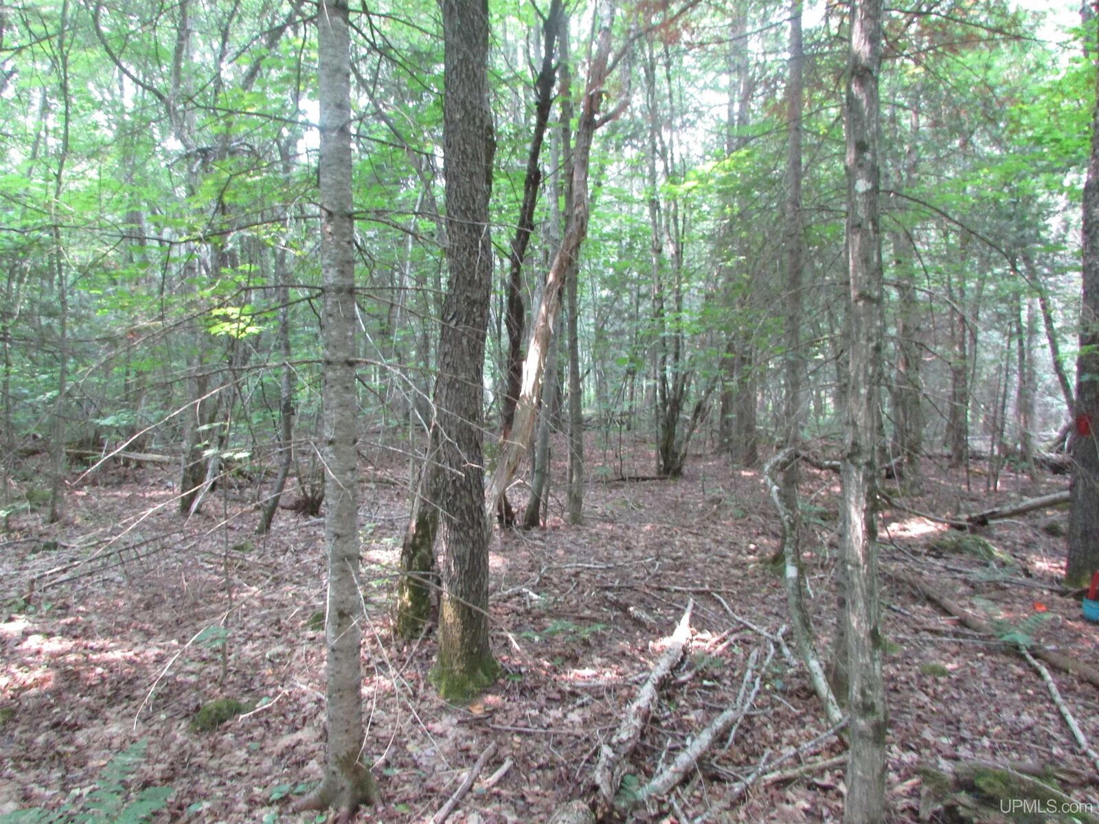Property Photo:  Tbd West Street  MI 49861 