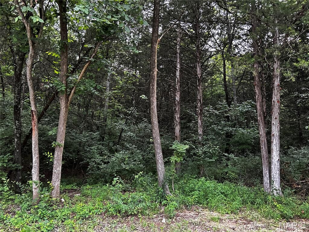 Property Photo:  237 Incline Village (Red Cedar)  MO 63348 