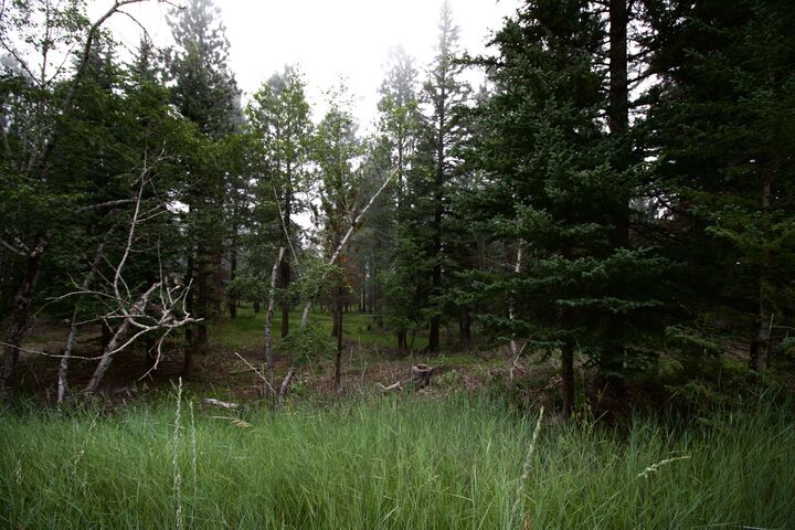 12052 Little Elk Road  Deadwood SD 57732 photo