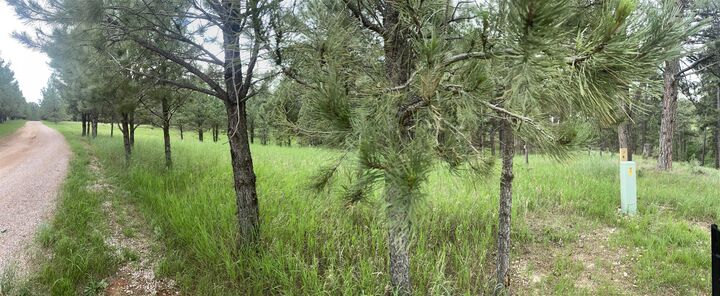 Tbd Other  Custer SD 57730 photo