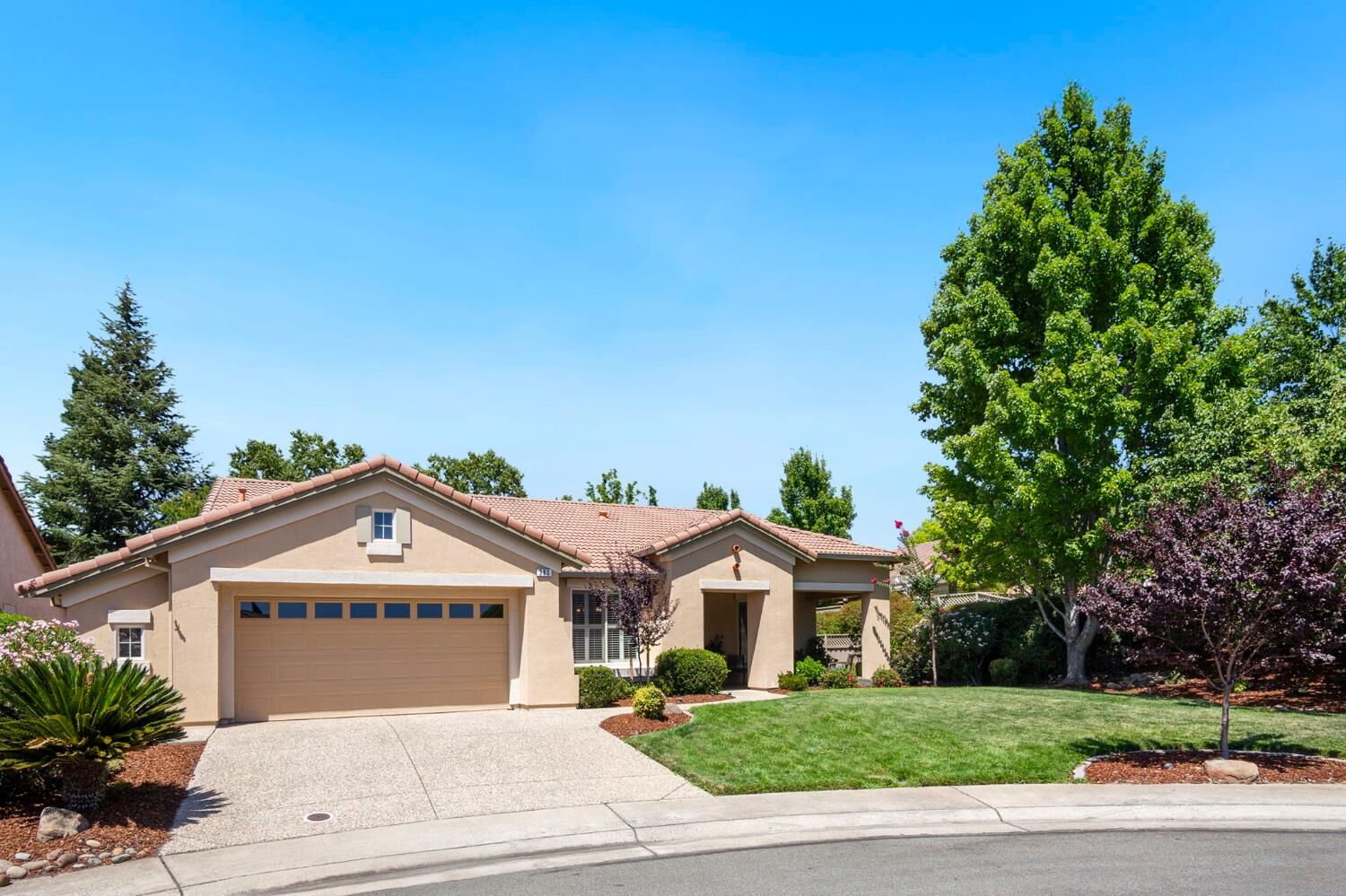 Property Photo:  380 Shepherds Court  CA 95648