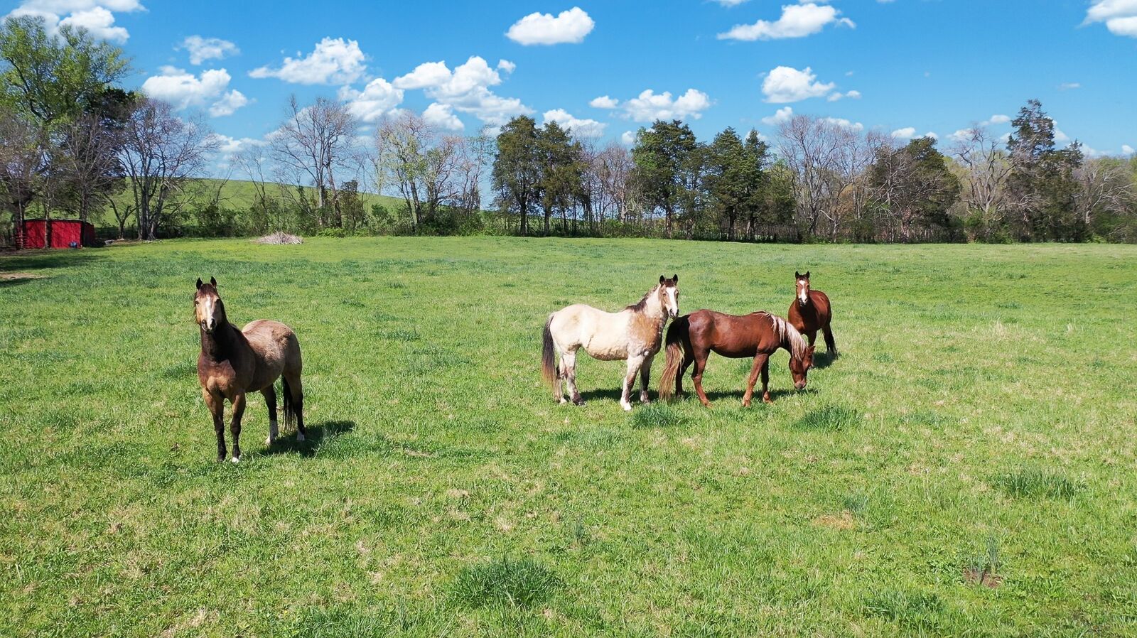 Property Photo:  349 Naron Rd  TN 37160 