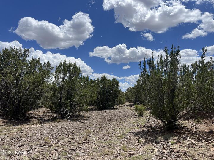 3472 Whitetail Loop  Williams AZ 86046 photo