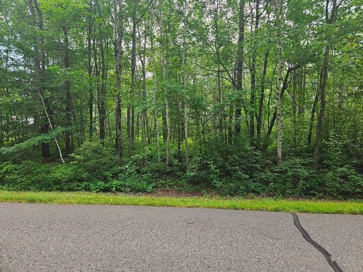 Property Photo:  Lot 3 Blk 2 SW 1st Avenue  MN 55744 
