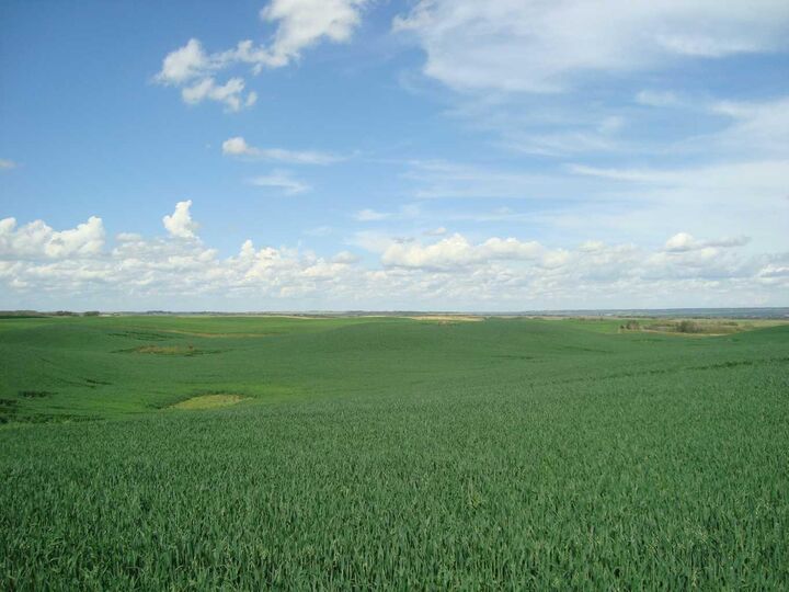 SW,26,35,22,W$M Hi Way 590 Highway  Elnora AB T0M 0Y0 photo