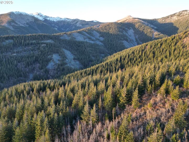 Property Photo:  Skamania Mines Rd  WA 98671 