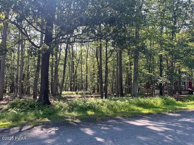 Property Photo: 163 Butternut Road PA 18337