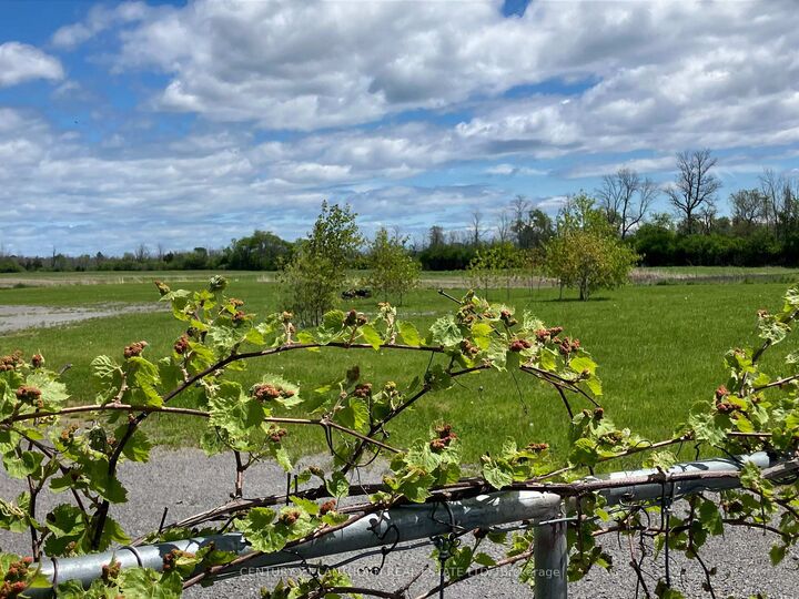 Property Photo:  3425 County Rd 10 Road  ON K0K 2P0 