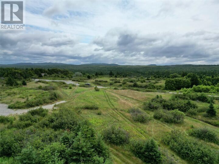 Property Photo:  26 Farm Road  NL A0N 1Z0 