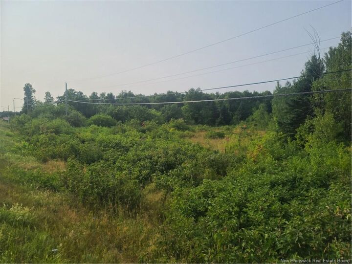 3.7 Acres Route 180 — photo 1