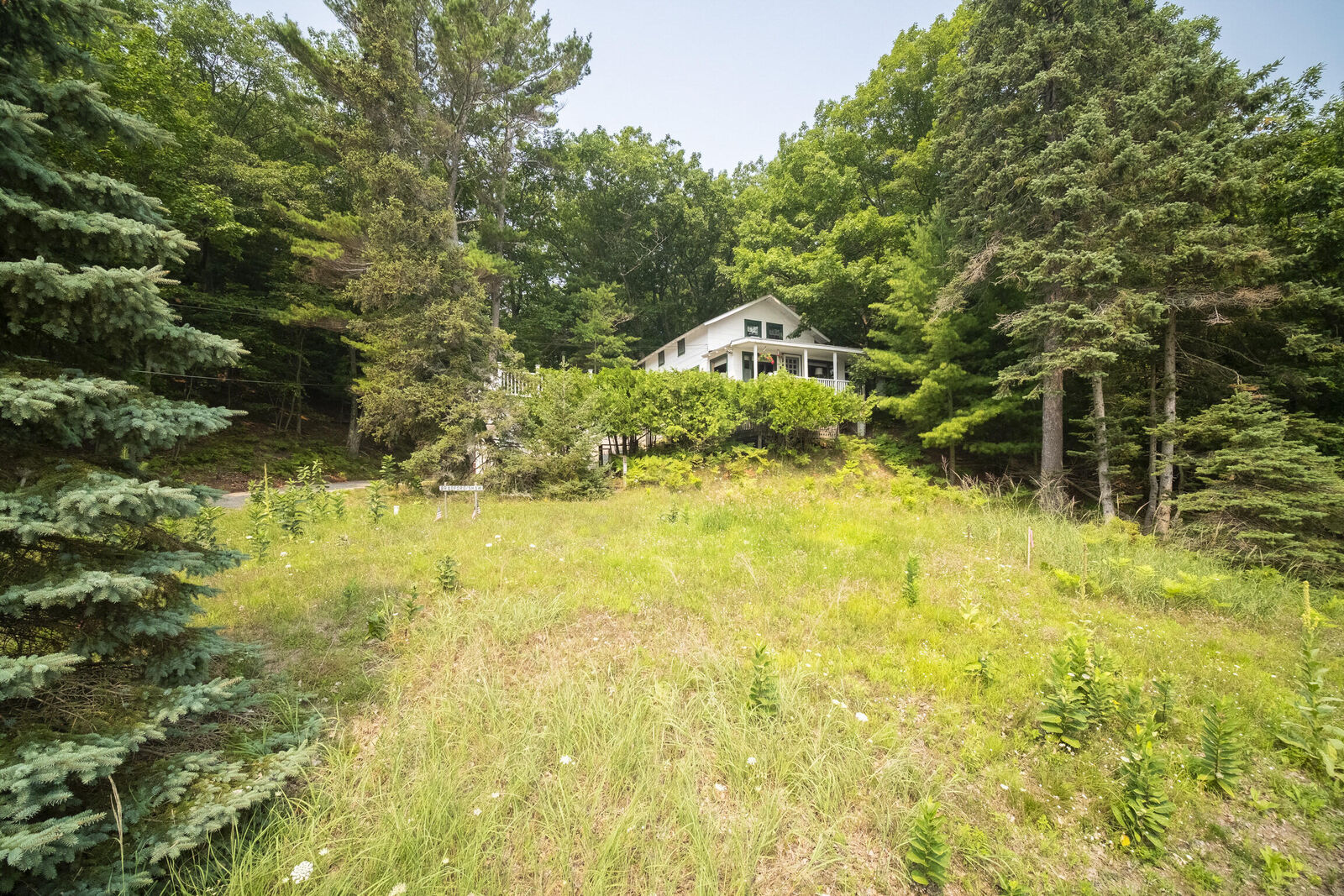 Property Photo: 8368 Portage Point Drive MI 49675