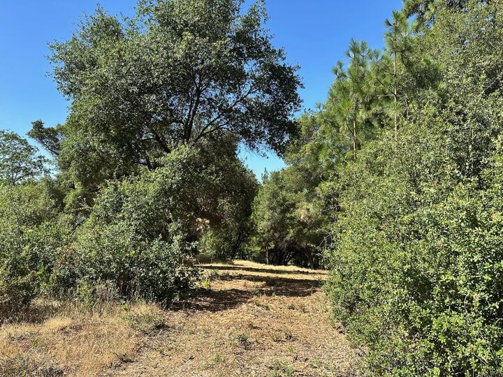 Property Photo: 16705 E Summit View Drive CA 95722