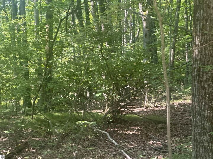 Lot # 179 Mockingbird Circle  Farwell MI 48622 photo