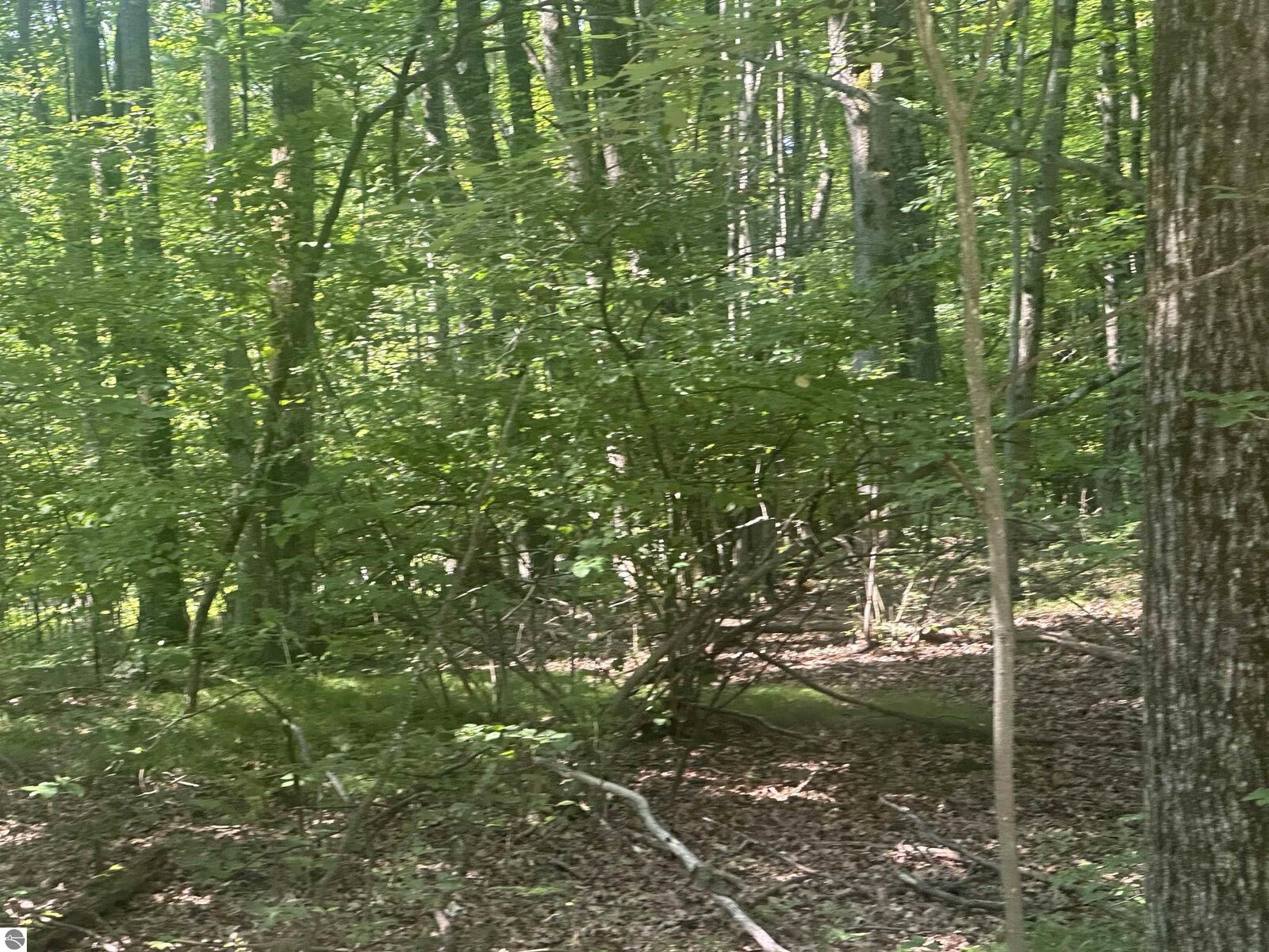 Property Photo:  Lot # 179 Mockingbird Circle  MI 48622 