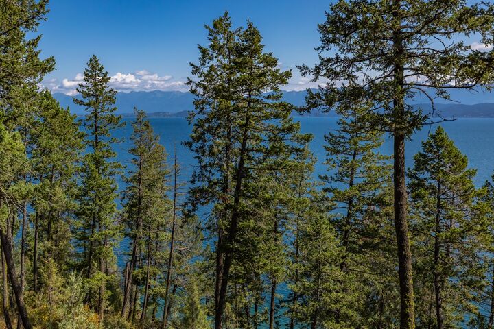 Property Photo: 705 Angel Point Road MT 59922