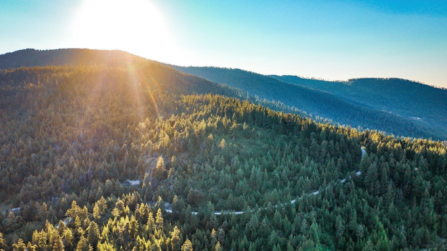 Property Photo: Tract 1 Cramer Creek Road MT 59932