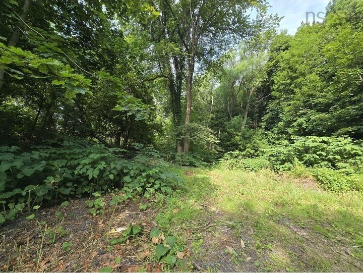 Property Photo:  Lot Munroe Avenue  NS B2H 2C8 