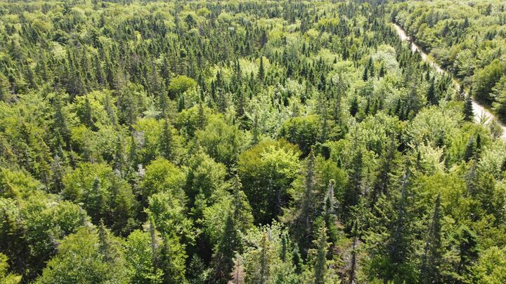 Property Photo:  Lot 6 Calabash Road  NS B1X 1K1 