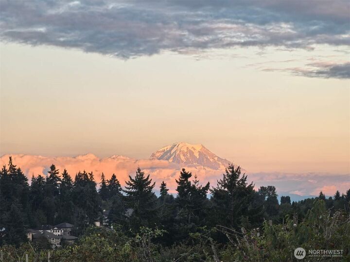 Property Photo:  32918  49th Avenue SW  WA 98023